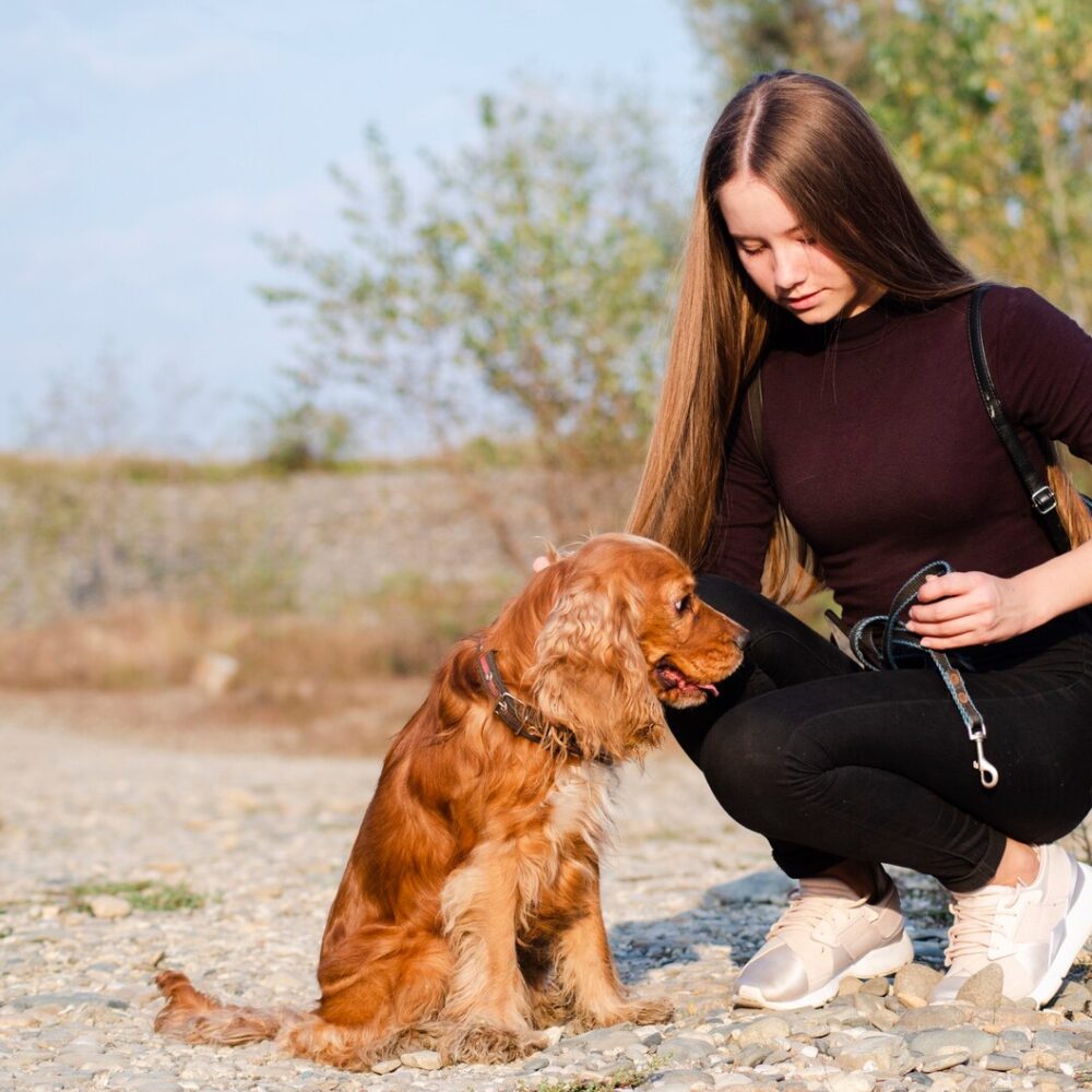 young-woman-petting-cocker-spaniel_23-2148351211